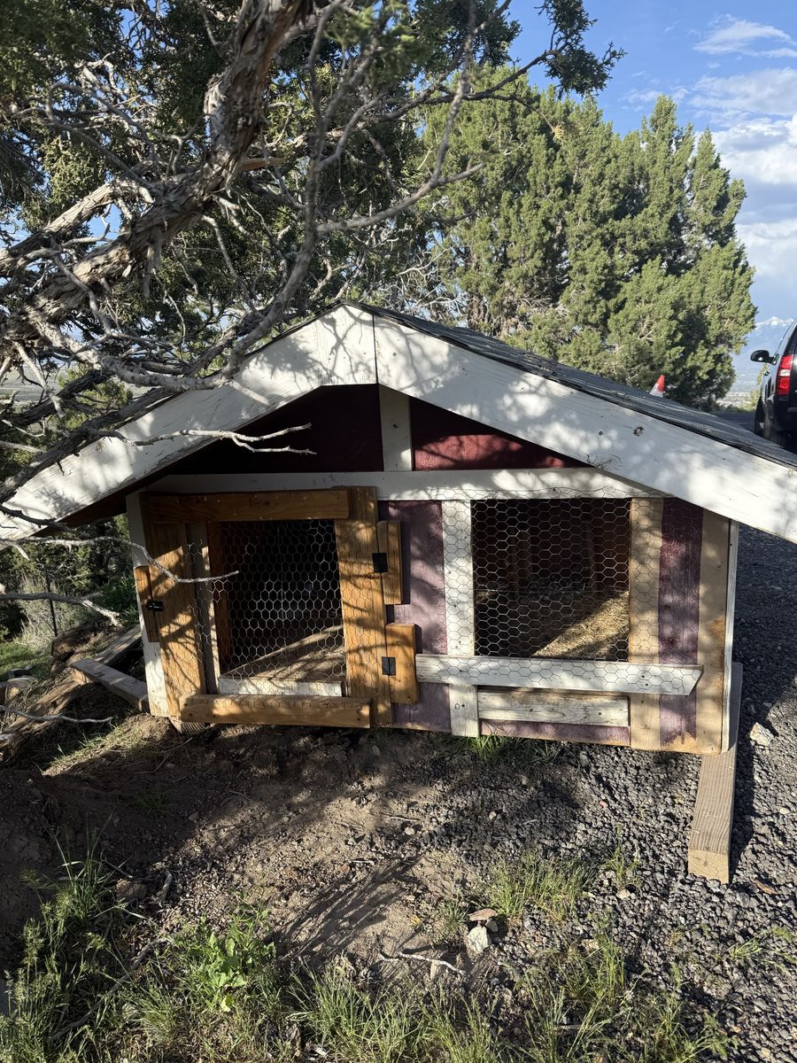 Heavy Duty Chicken Coop