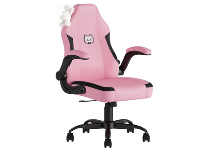 New in Box Pink Gaming Chair, Ergonomic Desk Office Chair with Support, Computer Chair