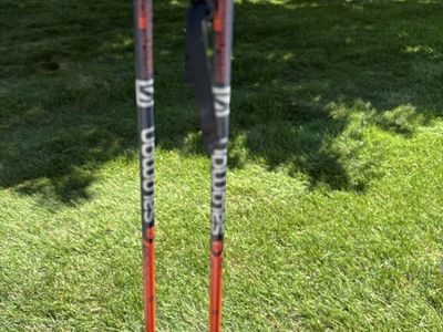 Salomon ski poles