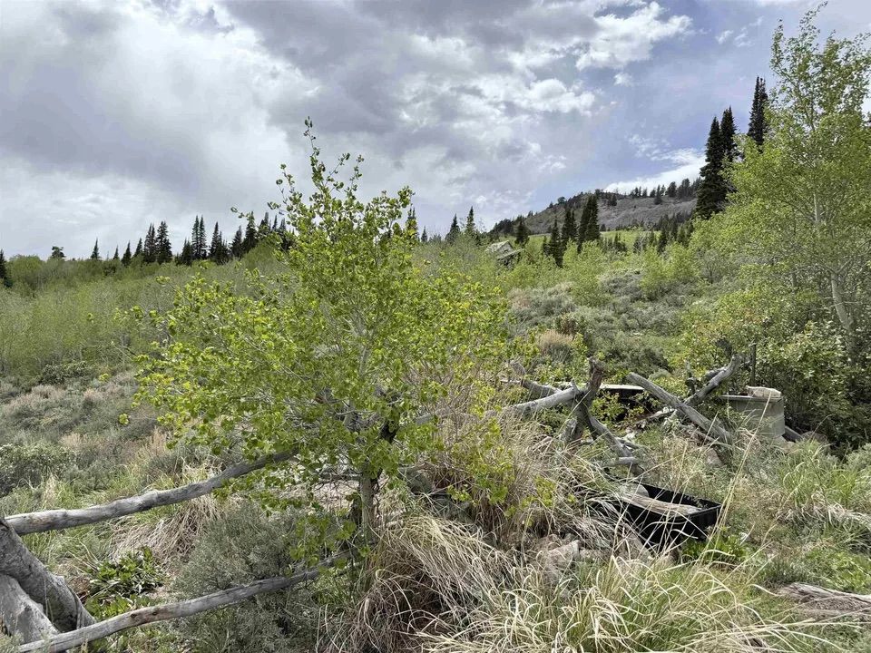 Main image 3
