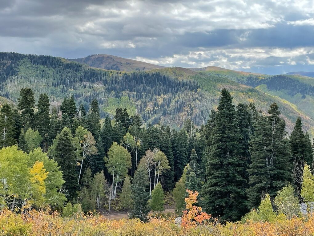 Beautiful Lot In Skyline Mountain Resort