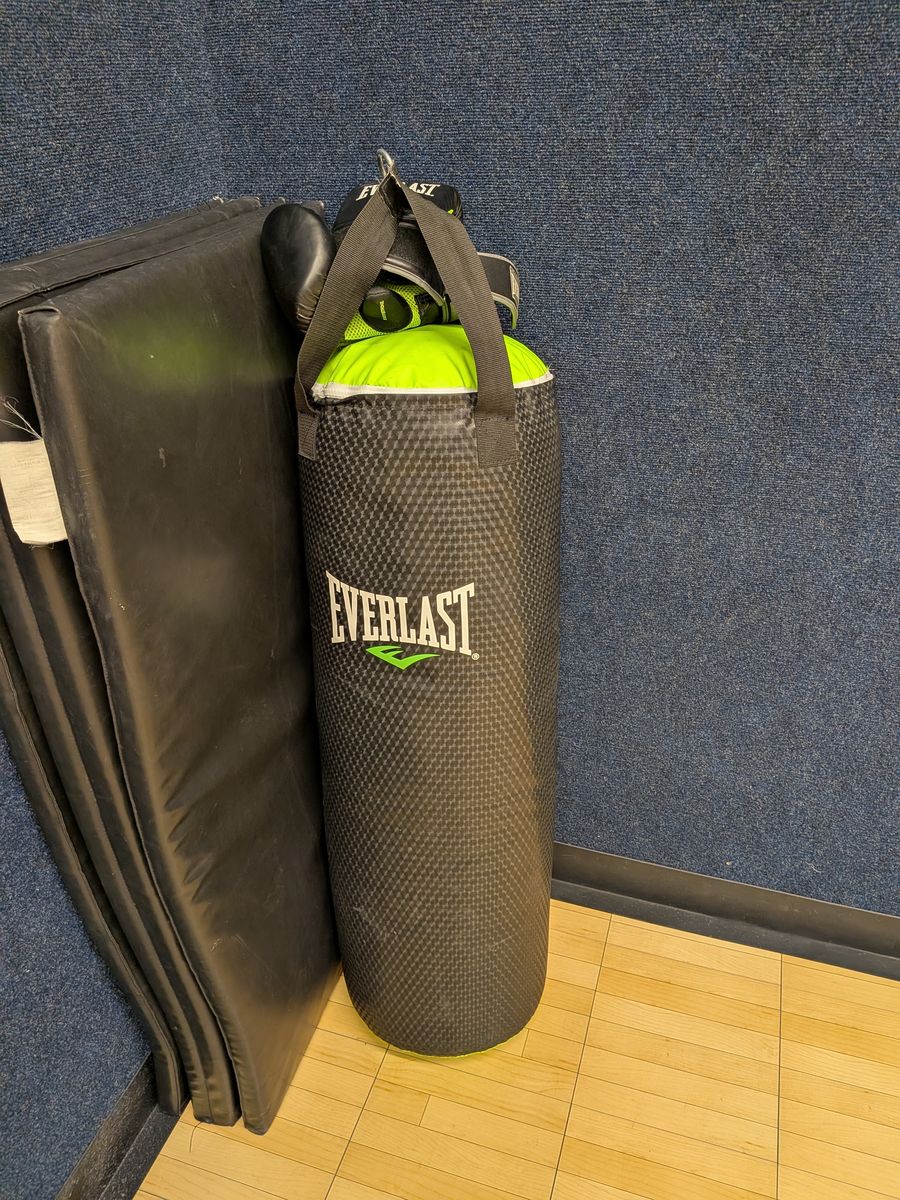 Barely Used Everlast Punching Bag and Gloves