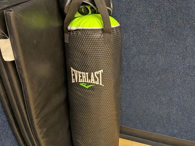 Barely Used Everlast Punching Bag and Gloves