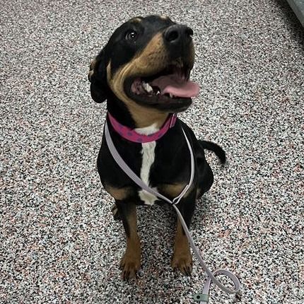 Hello my name is Meryl