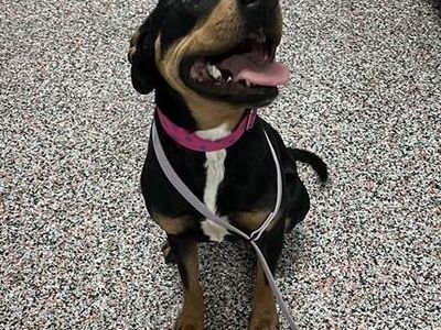 Hello my name is Meryl