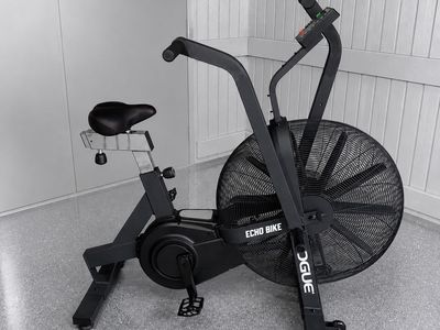 Rogue Echo Bike V2.0 Excellent Shape!