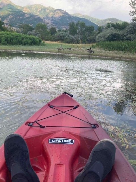 Lifetime Tamarack Kayak