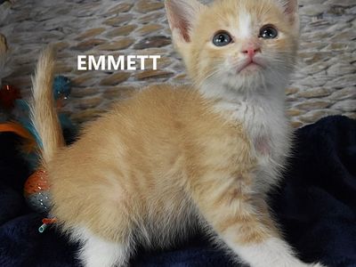 Hello my name is Emmett
