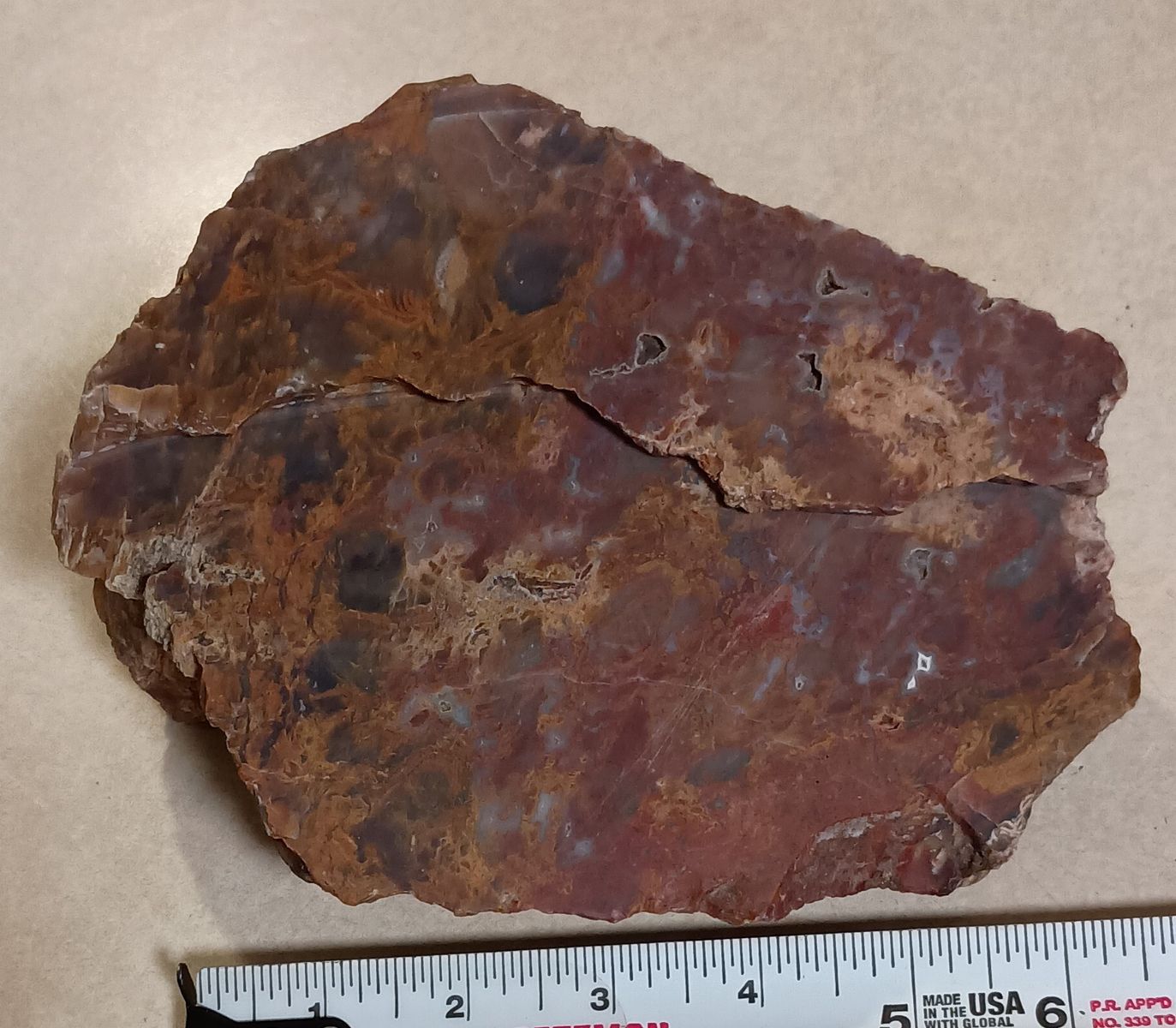 Petrified wood