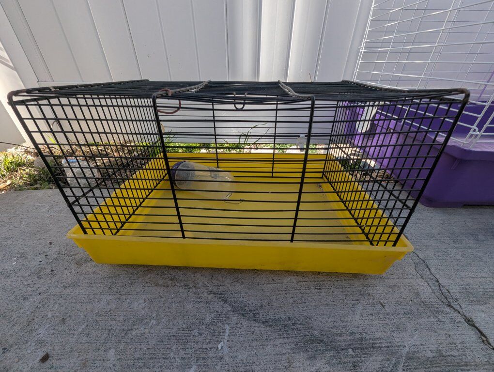 rabbit, gerbal, mouse, rat, hamster home