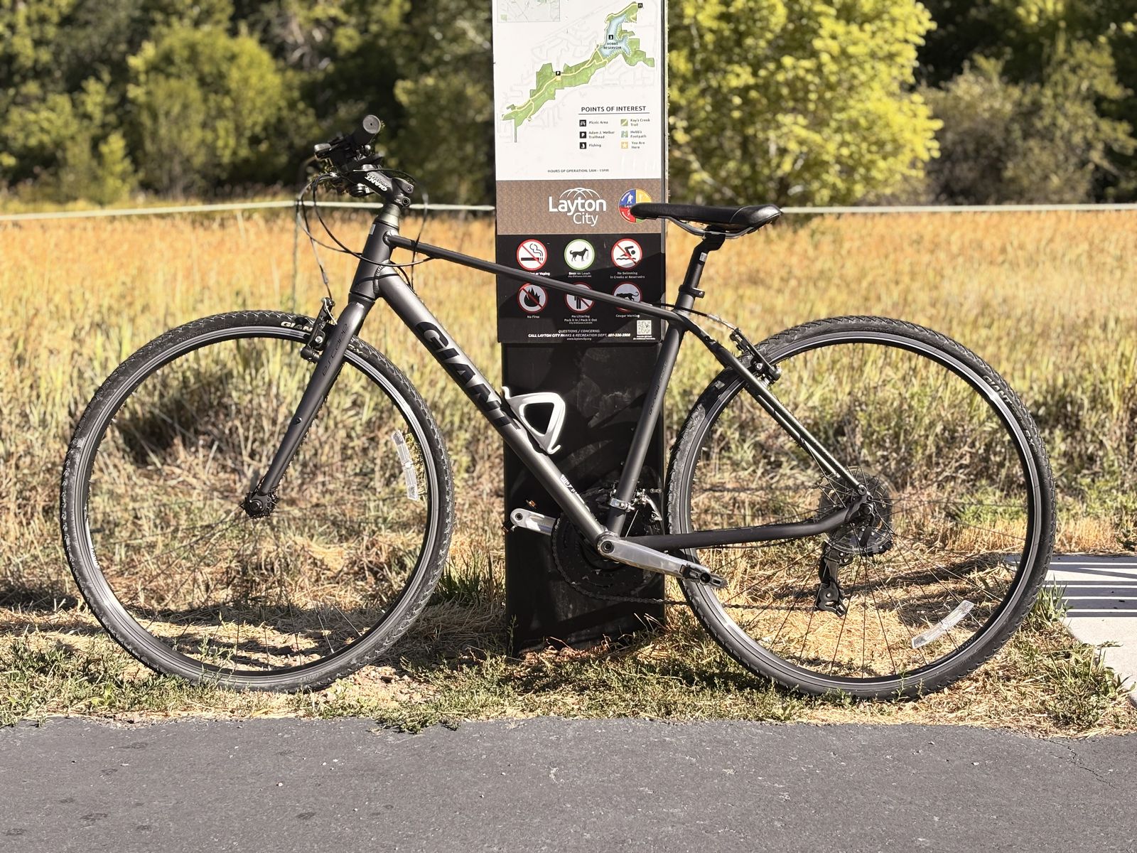 Giant Escape 3 Hybrid Bike - Medium Frame