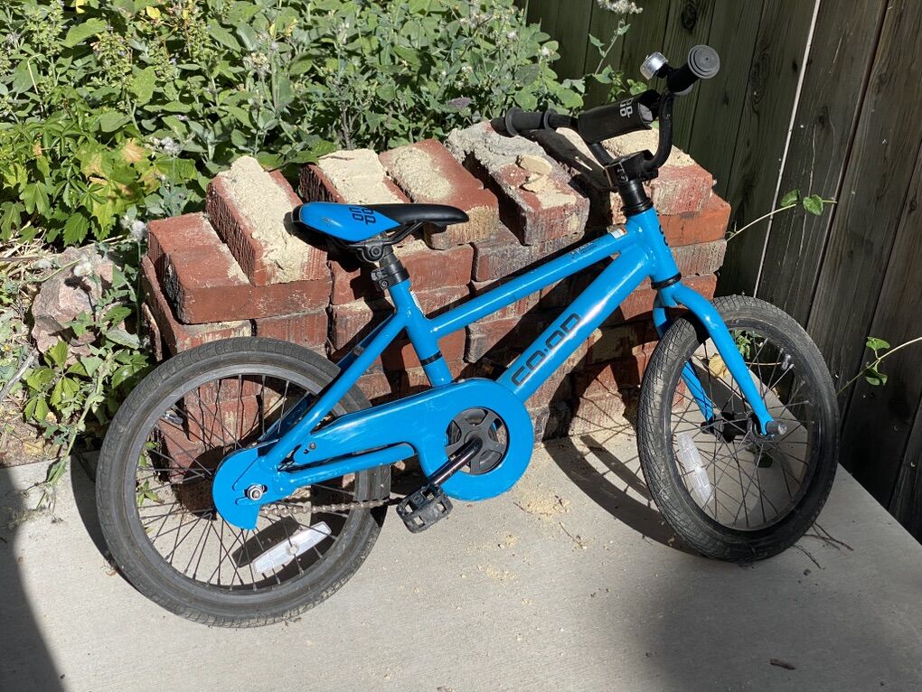 REI Coop Co-op Rev 16 bike Kids