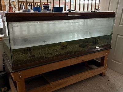 200 Gallon Fish Tank