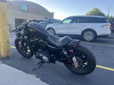 2019 Harley-Davidson Sportster 1200 Custom Bobber - Black Gold Flake Paint, Spring Seat