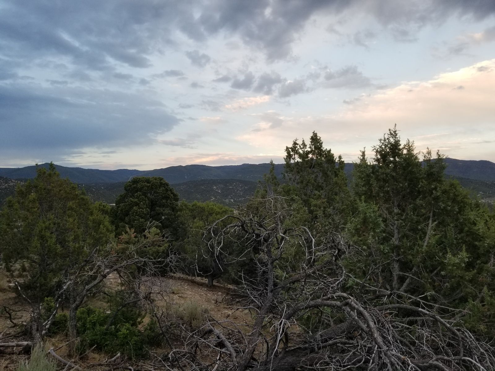 Refined Country Living Near the City - 1 Acre