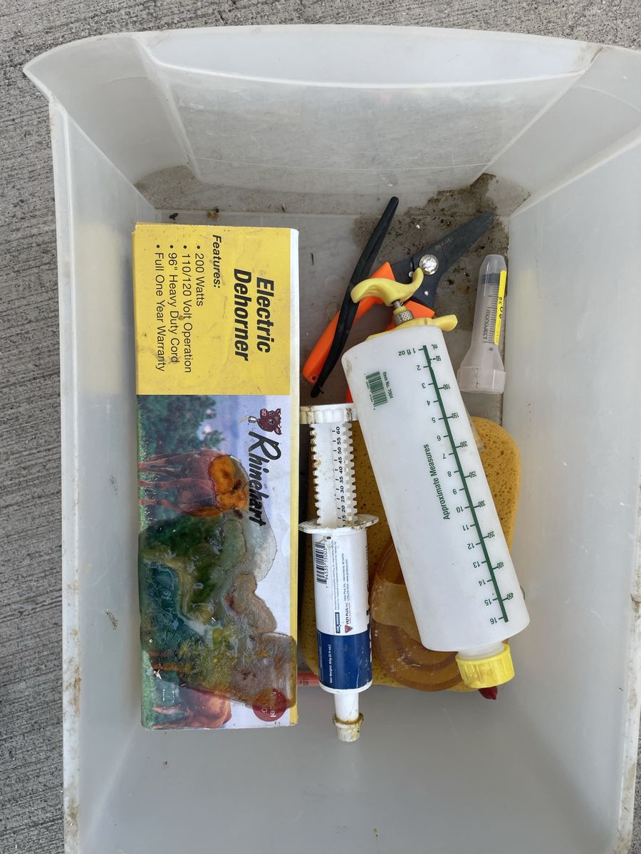 Rhinehart Electric Dehorner Kit - 200W, 110/120V, with accessories for livestock