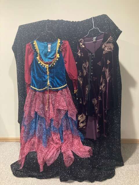 GYPSEY and FORTUNE Teller(Velvet Dragon)  Dresses   $25 Each