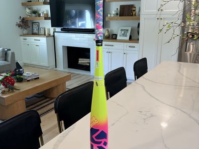 Baseball Bat Easton: The Dub, 30” 20 oz, Drop 10, USSSA Approved