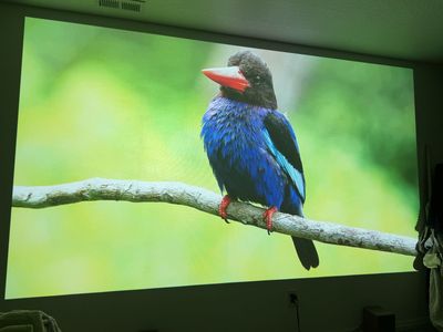 Epson 4k Projector + Chromecast + Edifier Speakers