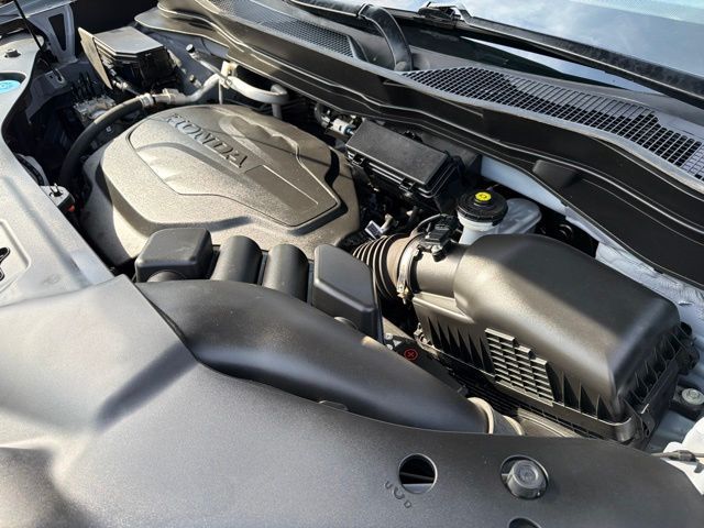 Main image 45