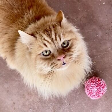 Hello my name is Atticus