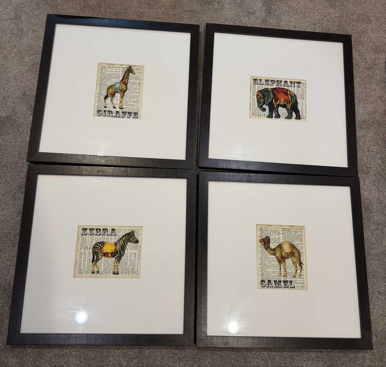 Framed Animal Dictionary Art and Agate Specimen Set (12Pieces)
