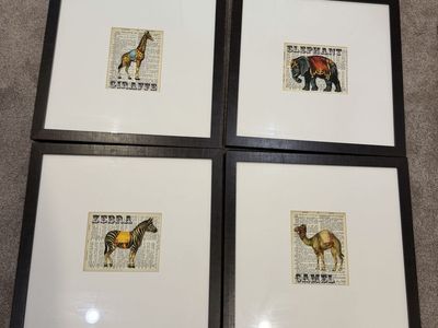 Framed Animal Dictionary Art and Agate Specimen Set (12Pieces)