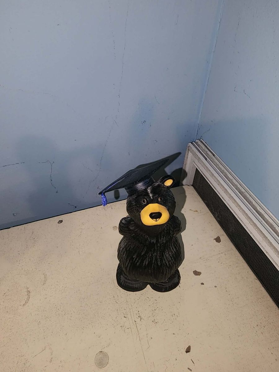 Bear Figures