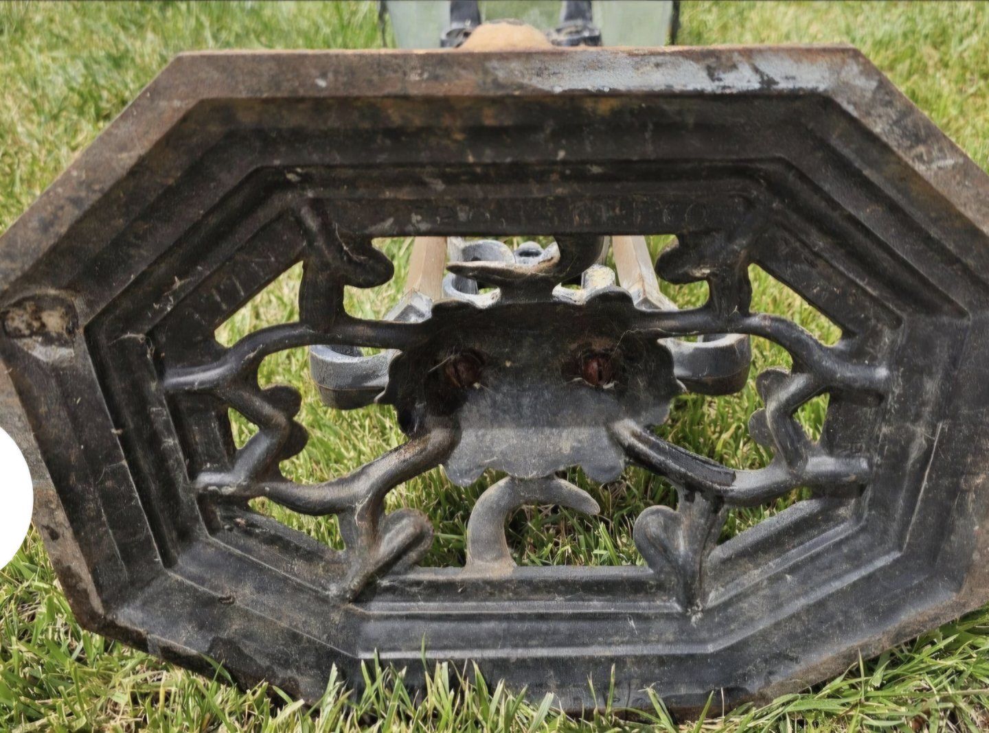 Main image 7