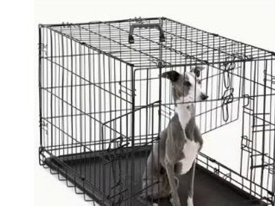 Dog Crate