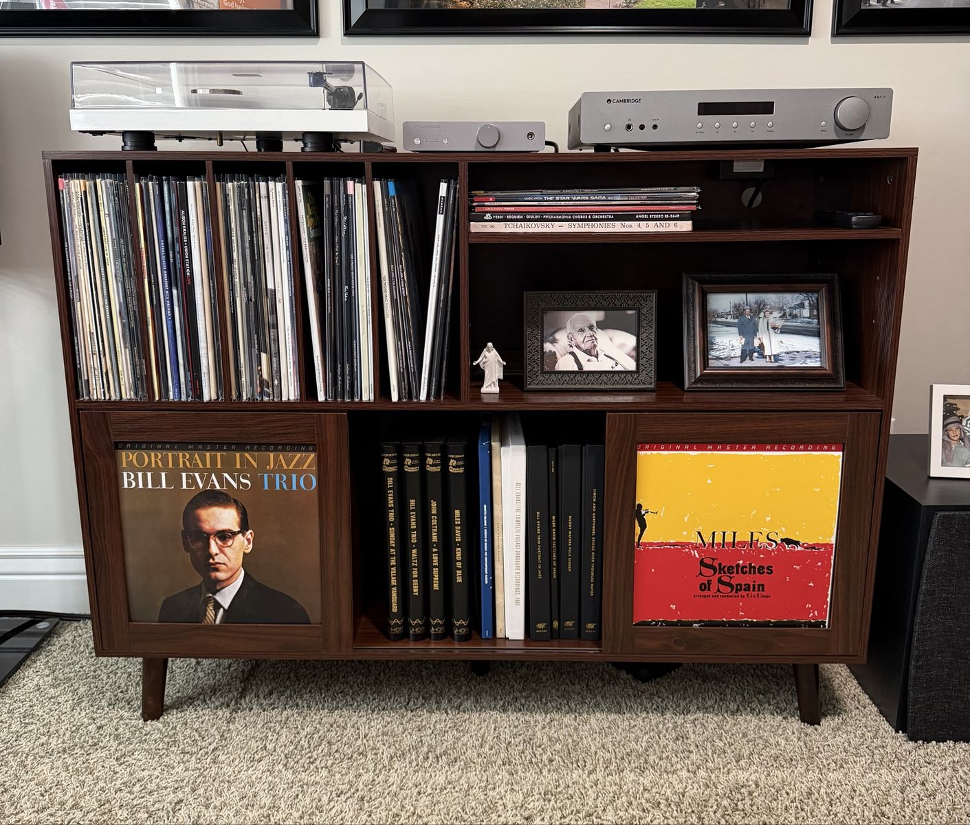 Modern Vinyl Record Storage Cabinet Media Console with Adjustable Shelves