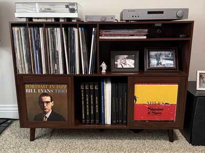 Modern Vinyl Record Storage Cabinet Media Console with Adjustable Shelves