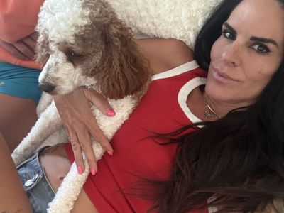 Darling 19 Month Old Cavapoo Boy!