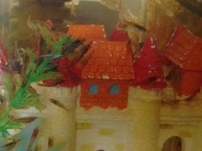 Rehoming Freshwater Aquarium Fish Tank Shrimp