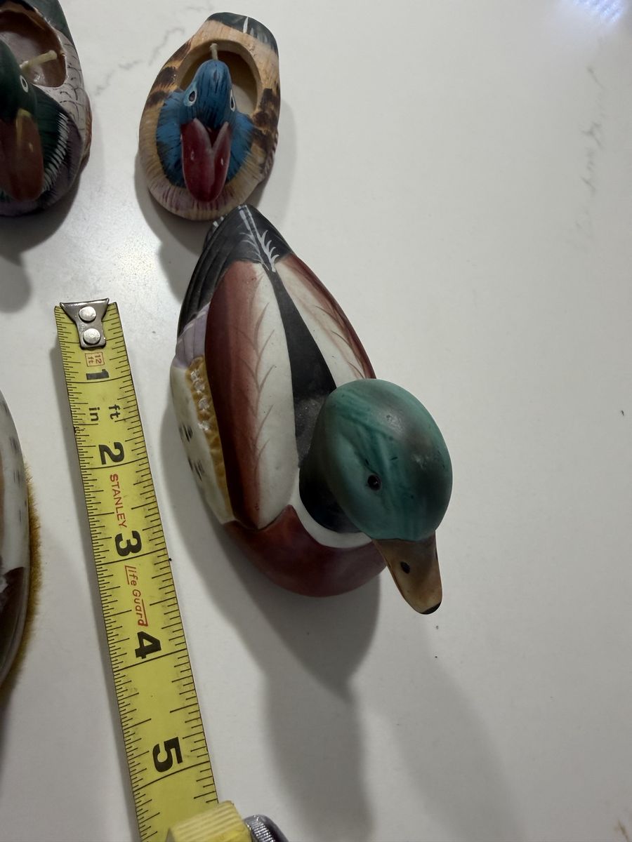 Main image 4