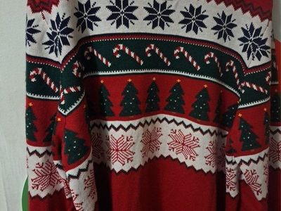 New adult Children's Place Christmas sweater