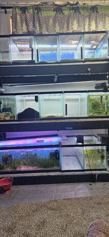 fish tanks $1 per gallon