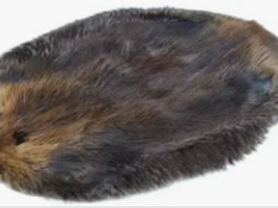 Beaver Fur