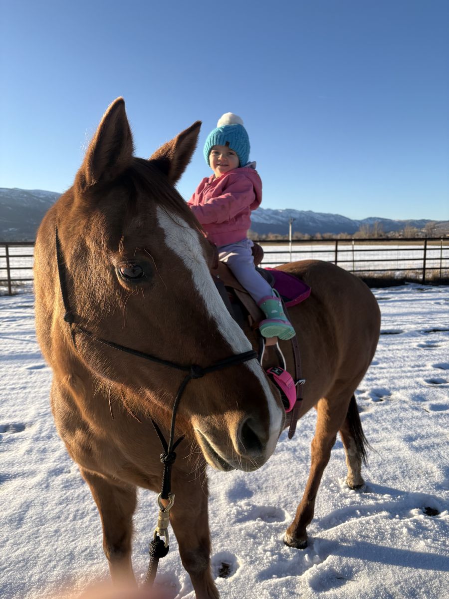 Beginner Kids Horse
