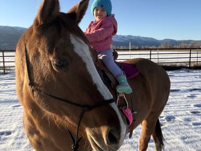 Beginner Kids Horse