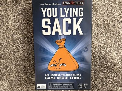 You Lying Sack game