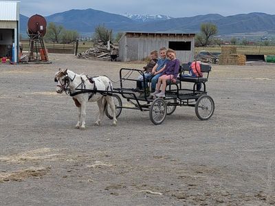 Broke broke broke kids pony