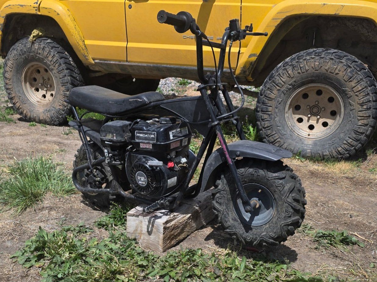 Mini Moto Tote Goat