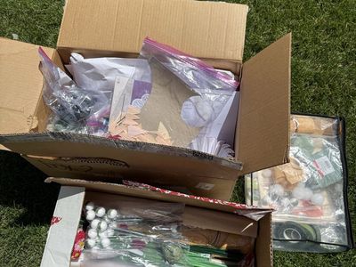 Paper flowers kit