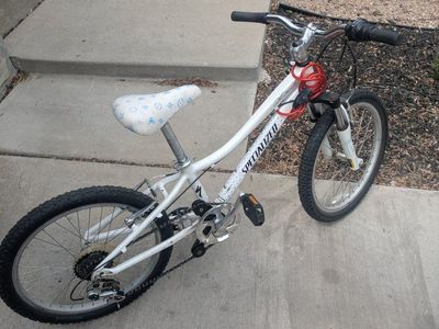 20 inch tire Specialized bike