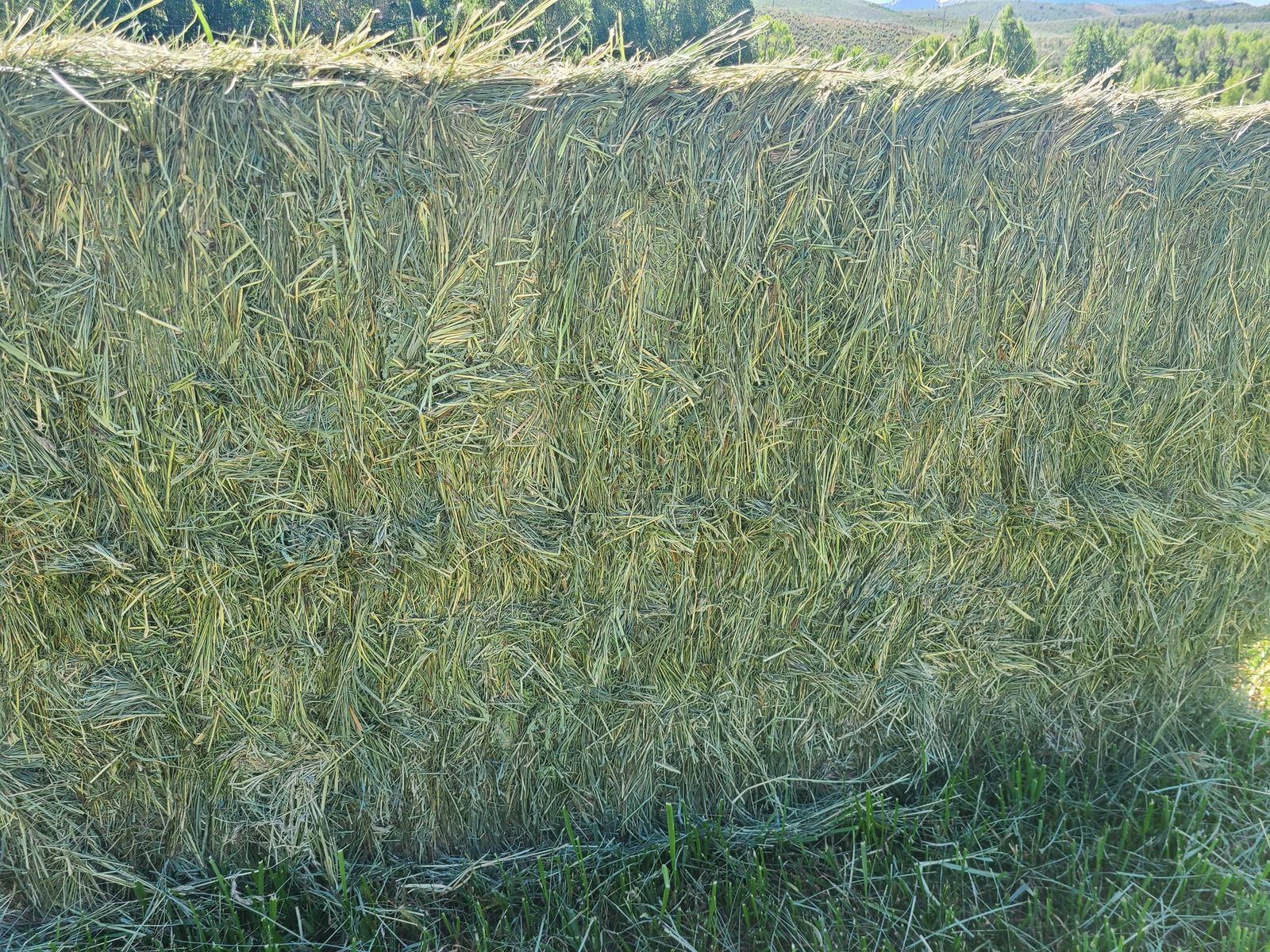 Main image 2