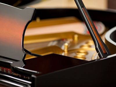 Like new STEINWAY & SONS Model M, Premium Art Edition 5'7" Grand Piano