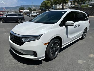 2024 Honda Odyssey Elite