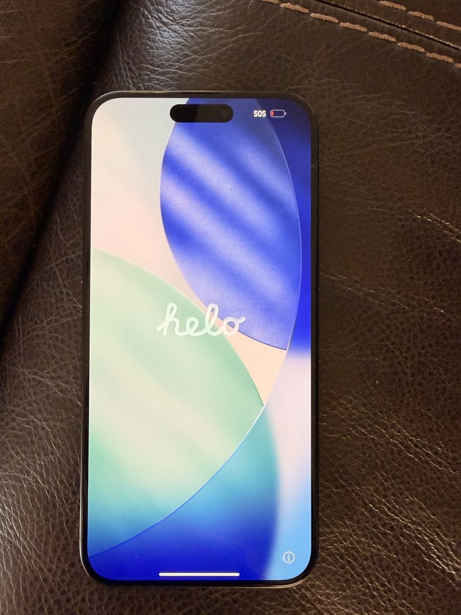 iPhone 15 Pro Max 256 GB unlocked