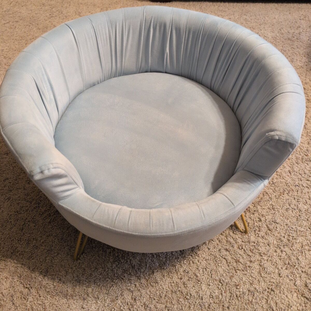 Raised Pet Bed